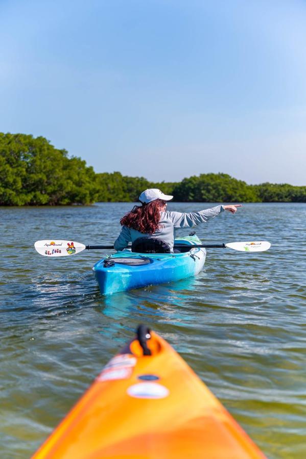 Candlewood Suites - Safety Harbor By Ihg Dış mekan fotoğraf